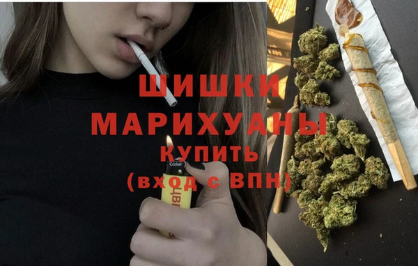 ALPHA-PVP Новозыбков