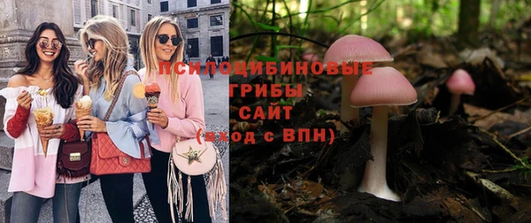 ALPHA-PVP Новозыбков