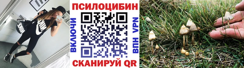 shop клад  Партизанск  Псилоцибиновые грибы ЛСД  наркотики 