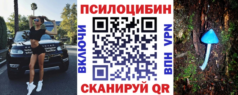 Псилоцибиновые грибы ЛСД Партизанск
