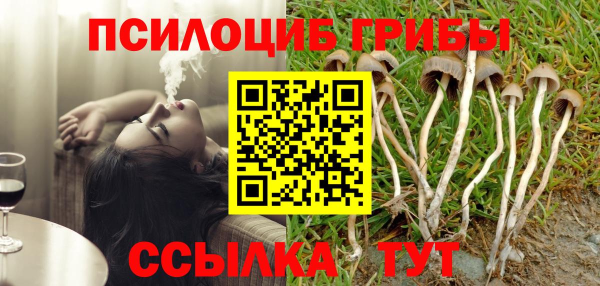 Псилоцибиновые грибы прущие грибы  как найти закладки  Партизанск  Вход с VPN 