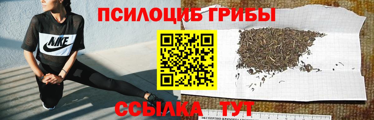Псилоцибиновые грибы Psilocybe Партизанск